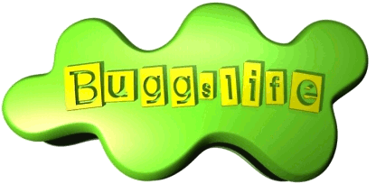 Buggslife - Photography